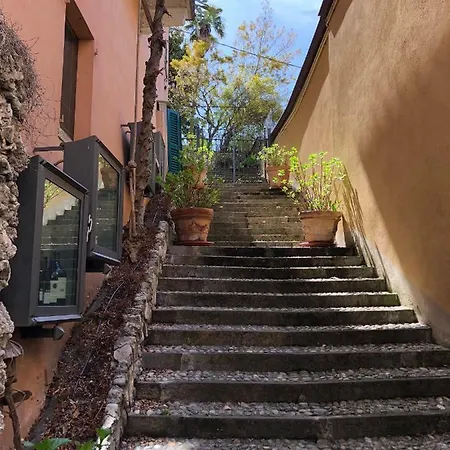 View House